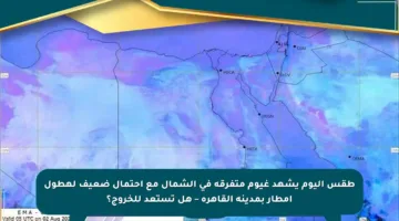 طقس اليوم يشهد غيوم متفرقة في الشمال مع احتمال ضعيف لهطول أمطار بمدينة القاهرة – هل تستعد للخروج؟